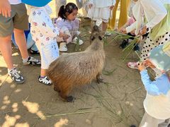 -西霞口神雕山野生动物世界