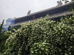 -潭柘寺景区