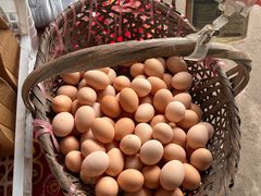 -马陆小张葡萄园农家乐