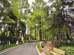 -苏州河梦清园环保主题公园