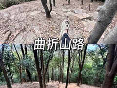 -火炉山森林公园