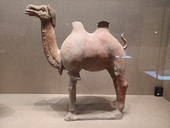 -敦煌市博物馆