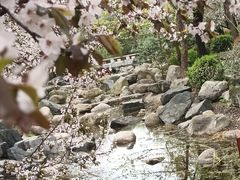 -清凉山国家森林公园