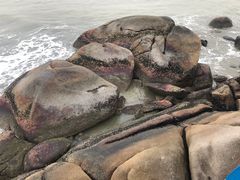 -那琴半岛地质海洋公园