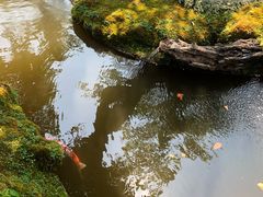 -Chom Cafe and Restaurant