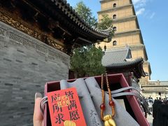 -大慈恩寺(大雁塔)