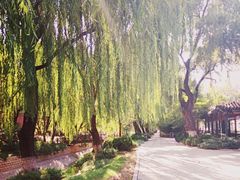 景点-菖蒲河公园