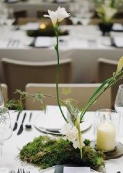 -天邑国际酒店·宴会厅