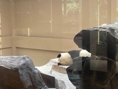-宁波野生动物园