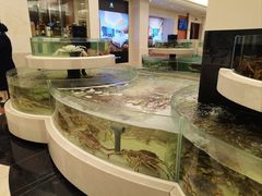 -慈溪白金汉爵大酒店