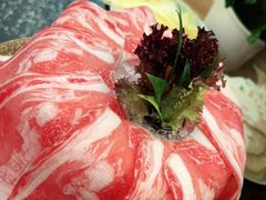 -洪氏嗨捞·猪肚鸡火锅(阳光天地店)