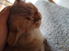 -平行世界·猫咖(首经贸店)