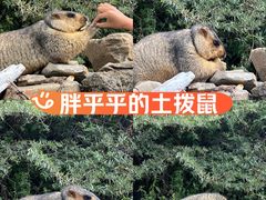 -墨石公园景区