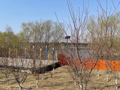 -长白岛森林公园