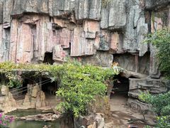 -长鹿旅游休博园