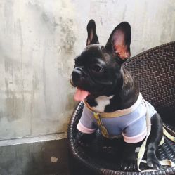 点击看大图 -New Fashion·新时尚形象设计