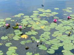 -长春市南湖公园