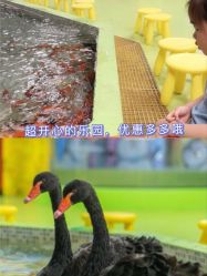 -七巧国萌宠乐园(龙湖天街店)