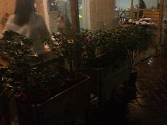-茶米人台湾料理·精致快简餐