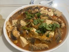 -煲来饱去冷水鱼
