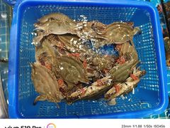 -东舜赶海·胶东海鲜家常菜(奥体中心店)