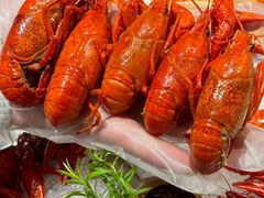 -杨氏青龙虾·羊蝎子(托乐嘉店)