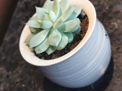 -海底捞火锅(龙湖三千集店)