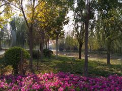 -武清南湖绿博园