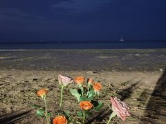 -烟台金沙滩海滨公园