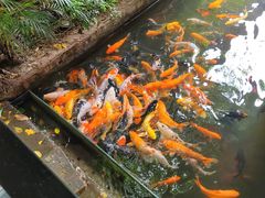 -优之名鹅城