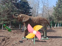 -长白岛森林公园