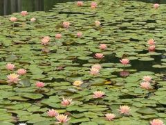 -白鹭湾湿地公园
