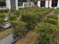 -武汉大学人民医院(首义院区)