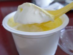 -德禄酸奶(莫家街店)