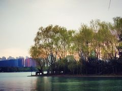 -天鹅湖体育公园