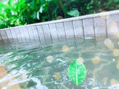 -南宫温泉水世界