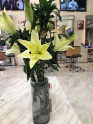 -SOLO Hair Salon