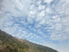 -韬光茶庵