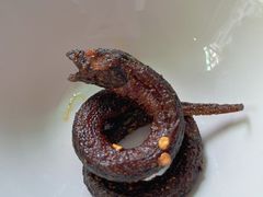 -盘龙黄鳝(盘龙居店)