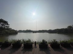 -福田红树林生态公园