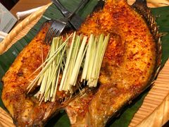 傣味香炸罗非鱼-云海肴·汽锅鸡·云南菜(天山百盛优客店)