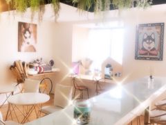 -Husky Go! 哈士奇体验馆·宠物咖啡厅狗咖