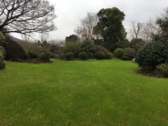 -桃花岛景观公园