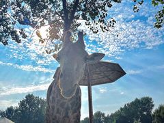 -大连森林动物园