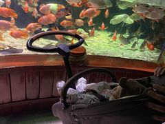 -太平洋海底世界