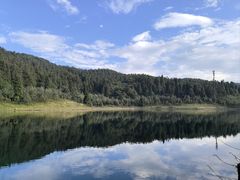 -武陵山森林公园