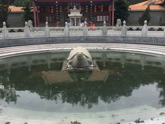 -顺峰山公园