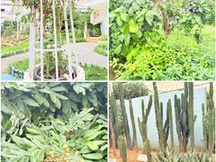 -恩格贝生态旅游区