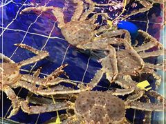 -79号渔船海鲜饭店(华强北店)