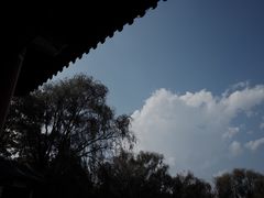 -MAP CHA普洱茶馆(翠湖店)